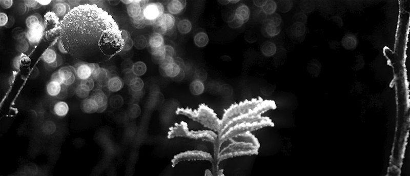 Umělecká fotografie Michala Vondryšky – snímek 15