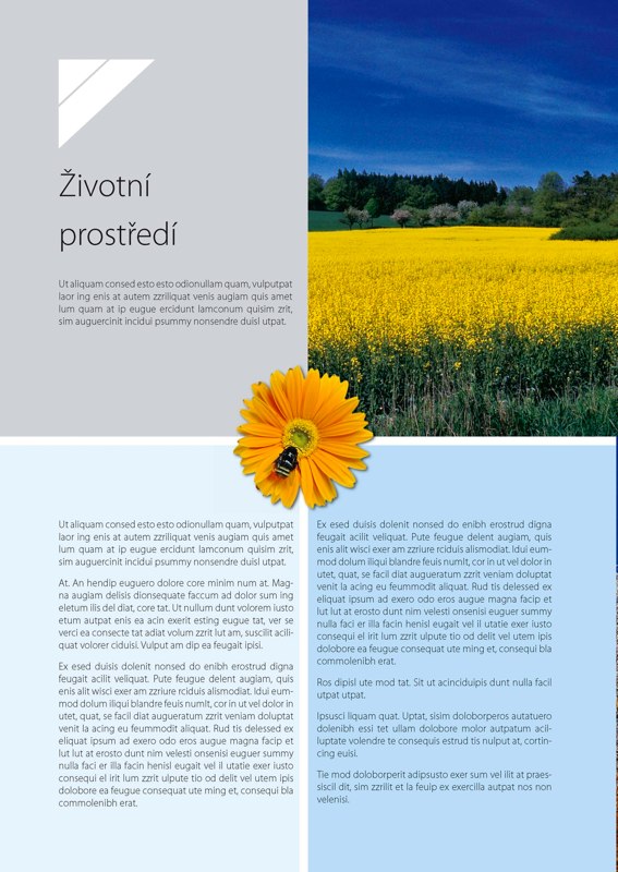 Grafický design Michala Vondryšky – ukázka 9