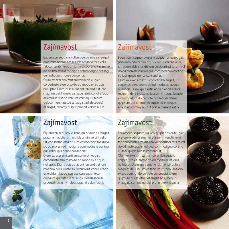 Grafický design Michala Vondryšky – ukázka 20
